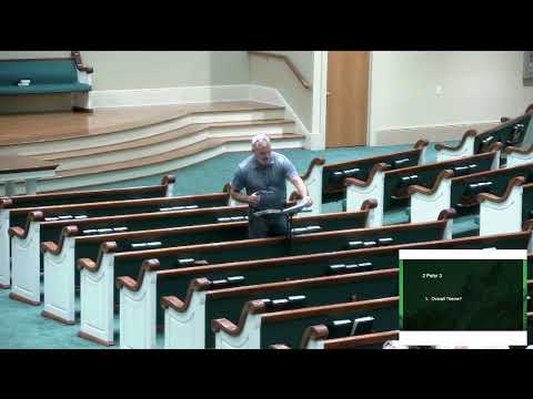 Video preview