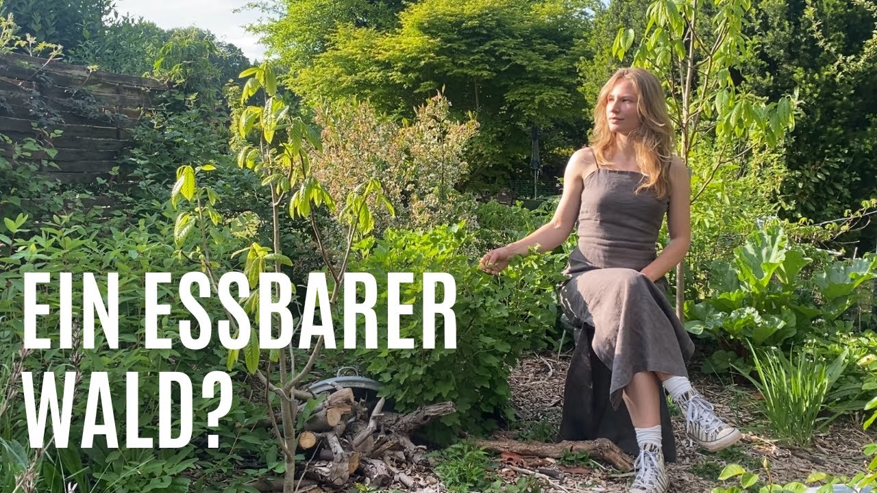 Der Waldgarten | Viel Ertrag für wenig Arbeit? Permakultur & Foodforest