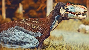 My REALISTIC Alio Experience…