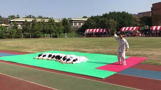 柔道隊表演