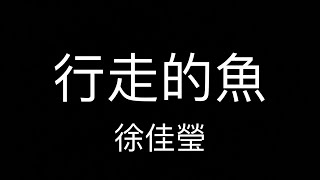 徐佳瑩 行走的魚(去人聲伴奏)