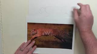 Basics on How to get Started on Drawing Animals