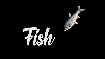 write-on effect: after effects tutorial (not clickbait)