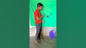 Funny vfx birds name new magic | Kinemaster editing | Vfxgaurav #shorts #funny #trending