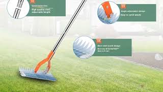 Top 5 Best Lawn Thatching Rake