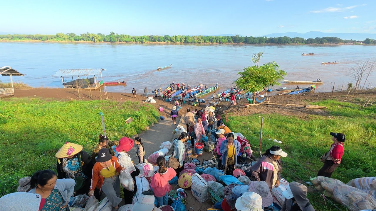 ตลาดนัดไทย-ลาว เปงจาน อ.รัตนวาปี จ.หนองคาย #food #อาหารป่า #สปปลาว เช้านี้คึกคัก‼️