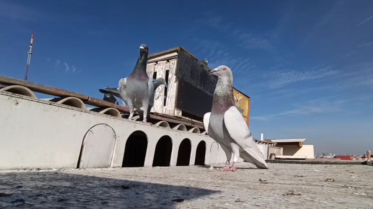 إستعدادات لأخوكم بلعيد منتاكي للموسم الرياضي 2026