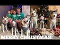 OUR BEST CHRISTMAS EVER!!  [READ DESCRIPTION]