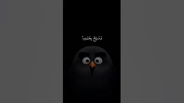 الشيخ خالد الجليل القران الكريم الشيخ ياسر الدوسري