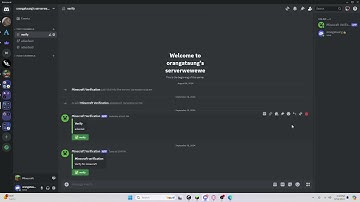 Hypixel skyblock Ratting Guide