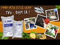 PHÂN HỮU CƠ VI SINH TKS - ĐẠM CÁ 111| Vlog Nông Nghiệp TKS