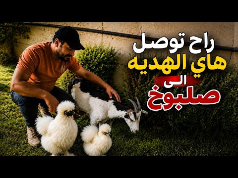 هاي الهديه مال صلبوخ + صيد في بحيرة عنكور 