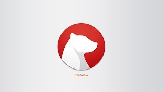 Bear Notes App - Overview