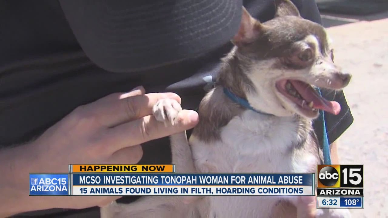 MCSO investigating animal abuse case