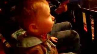 More Wiggles Concert