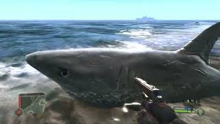 Crysis Remastered glitch sharks