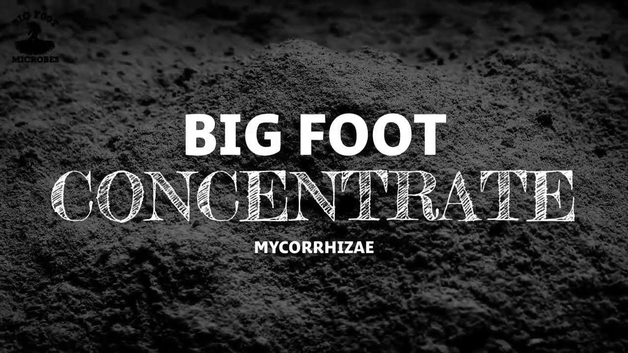 Big Foot Concentrate Mycorrhizae - MYCO + Beneficials (water-in)