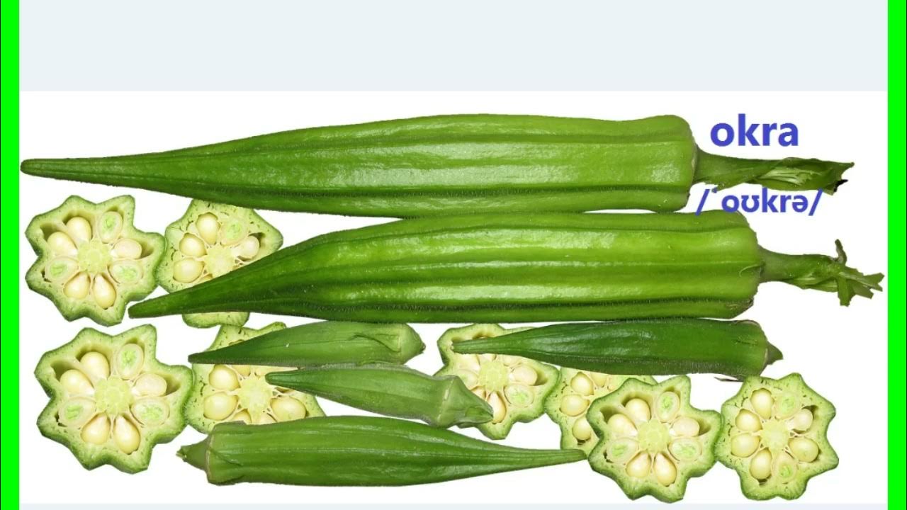okra ,English Pronunciation YouTube