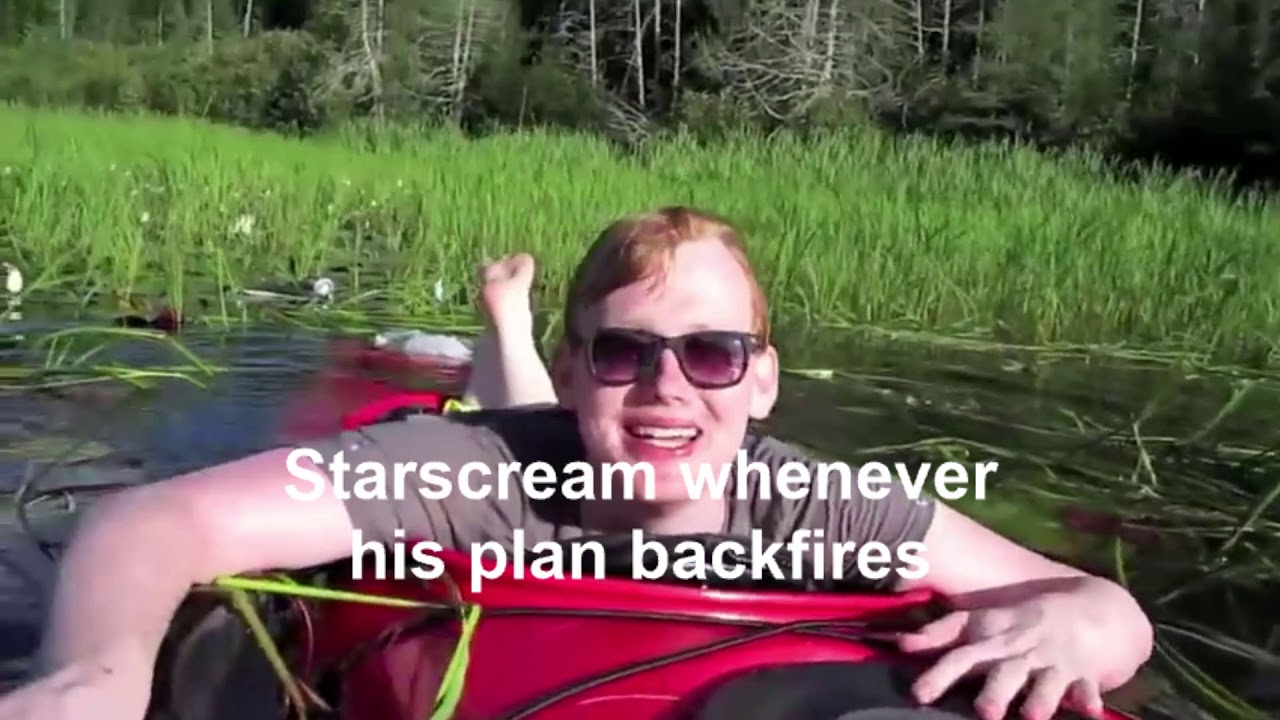 Transformers as Vines, Tiktoks, & More: The Third