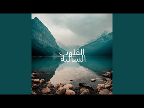 ياراكب من مريكا