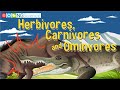 Animal Diets and Adaptations