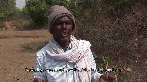 Loss of forest in Koderma