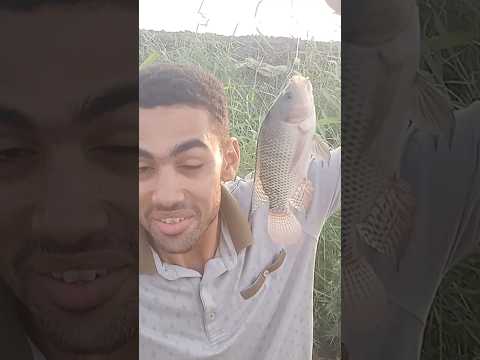 بلطي ابو سنان