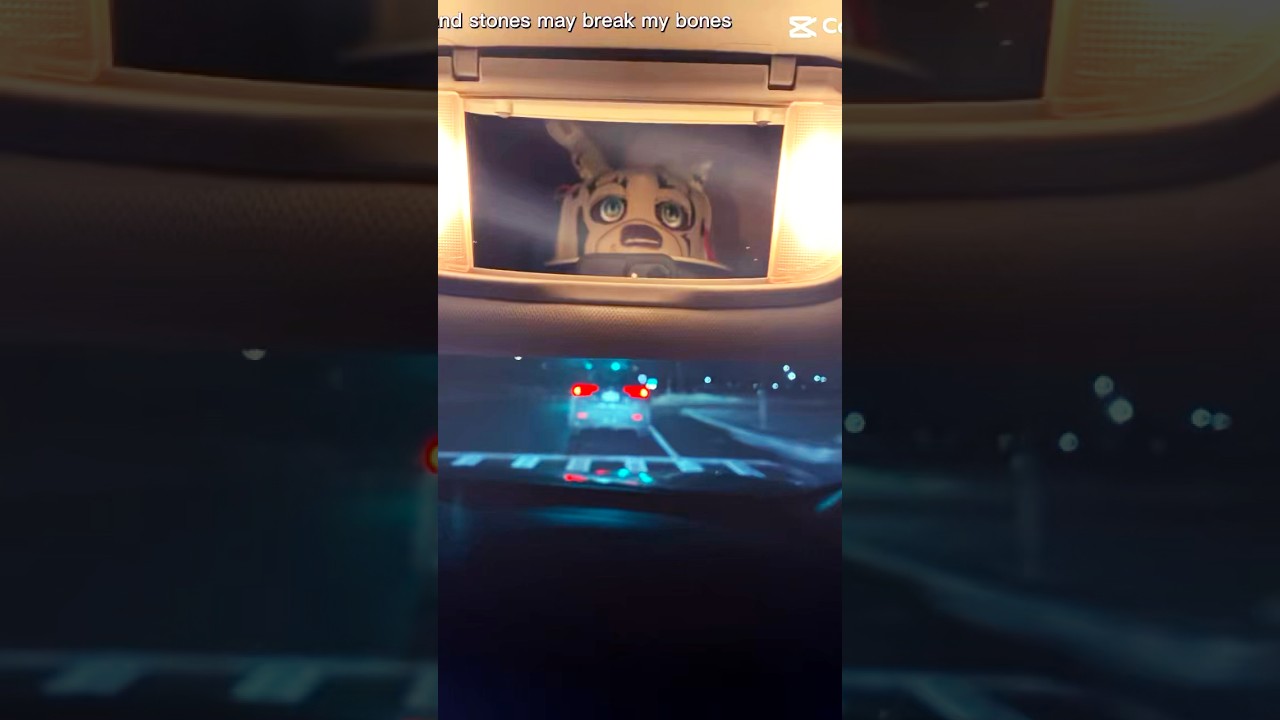 Sticks and stones may break my bones