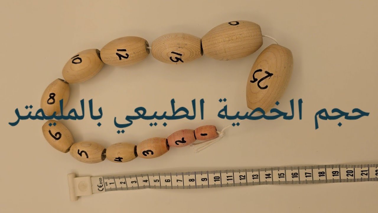 حجم الخصية الطبيعي بالمليمتر