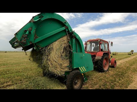 Видео: Уборка сена идет полным ходом! Срочный вызов к Степанычу!