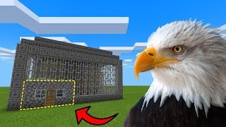 MCPE: How To Live Inside an Eagle Farm