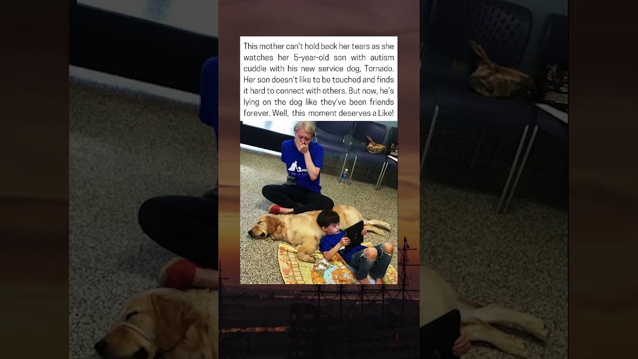 "A Bond Beyond Words: The Healing Power of a Service Dog"