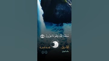 #ايات_من #سورة_النحل #المصحف_الشريف #اكسبلور