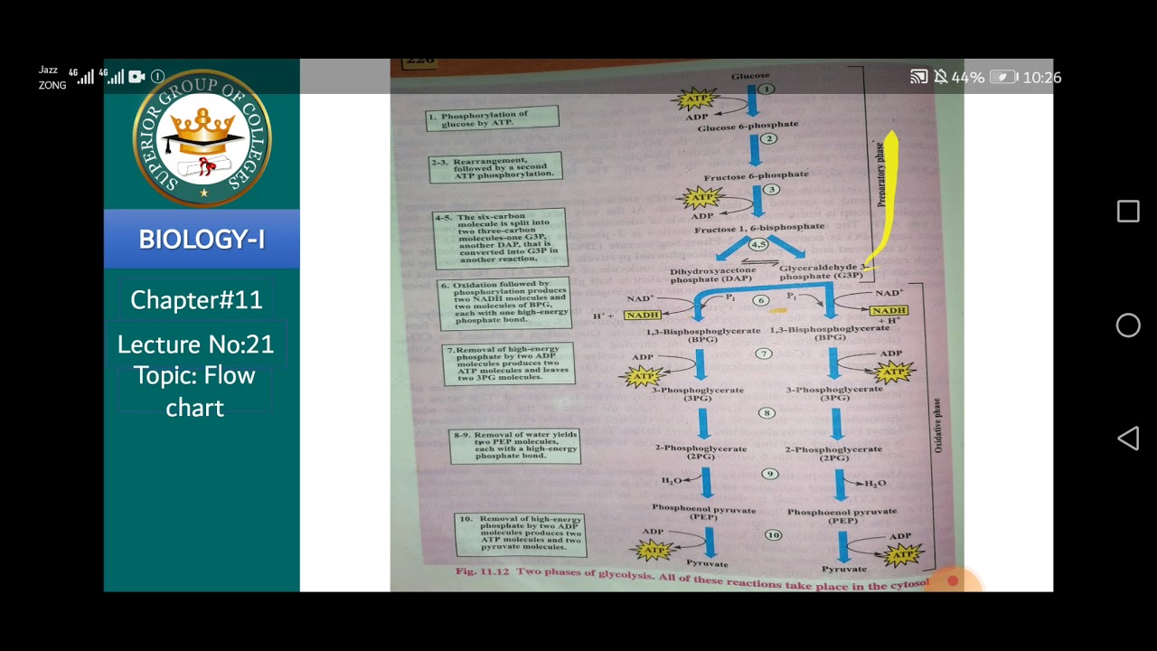 lecture 22 - YouTube