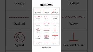 Types of Lines ✏️ | learn in easy way on math ✨ Learn with Niru ✨ #mathproject#viral #ytshorts #math
