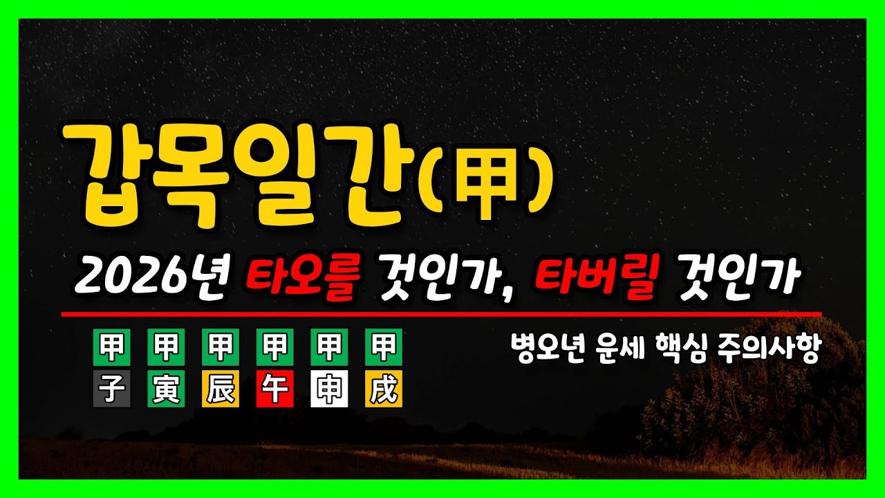 병오년) 갑목일간 운세 심층분석