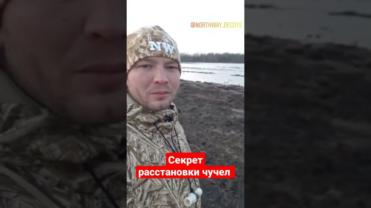 Секрет расстановки чучел. Взяли Гусака.