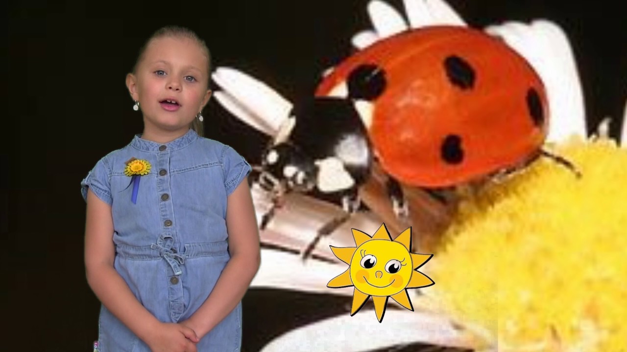 Sluníčko, sluníčko