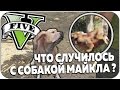 ЧТО СЛУЧИЛОСЬ С СОБАКОЙ МАЙКЛА В GTA V