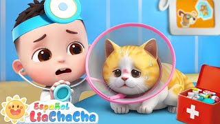 Canción del Gatito Enfermo | LiaChaCha en Español - Canciones Infantiles