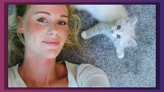 ASMR Soft spoken Ramble Whisper ear to ear and Cat Purring (Maui) screenshot 3