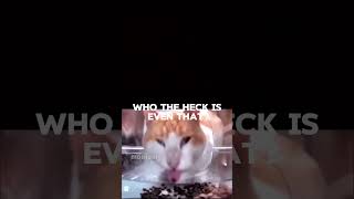 Wait A Minute Who Are You?