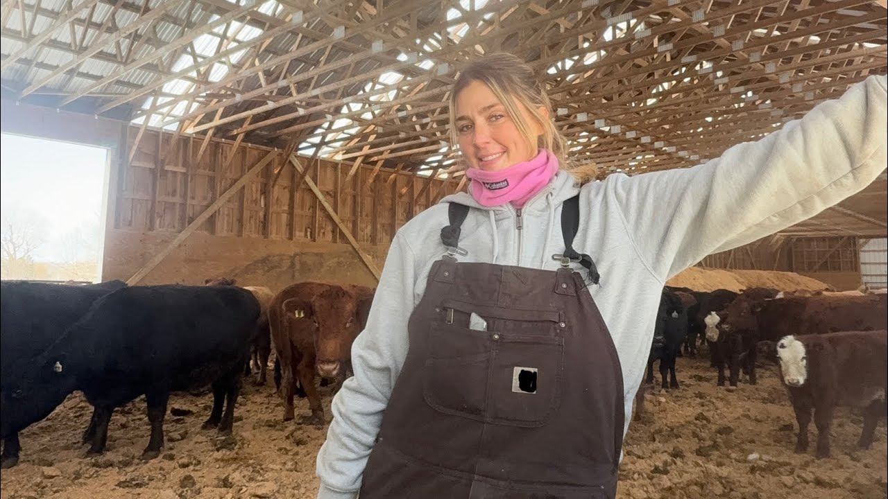 Skidder Prep & Unexpected Delivery 