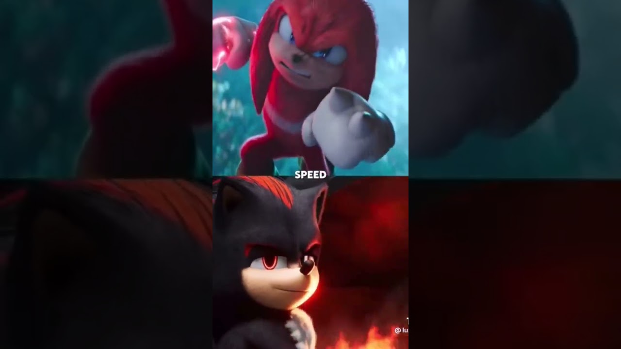 team sonic vs shadow
