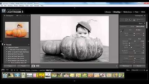 How to Make Virtual Copies in Lightroom 3