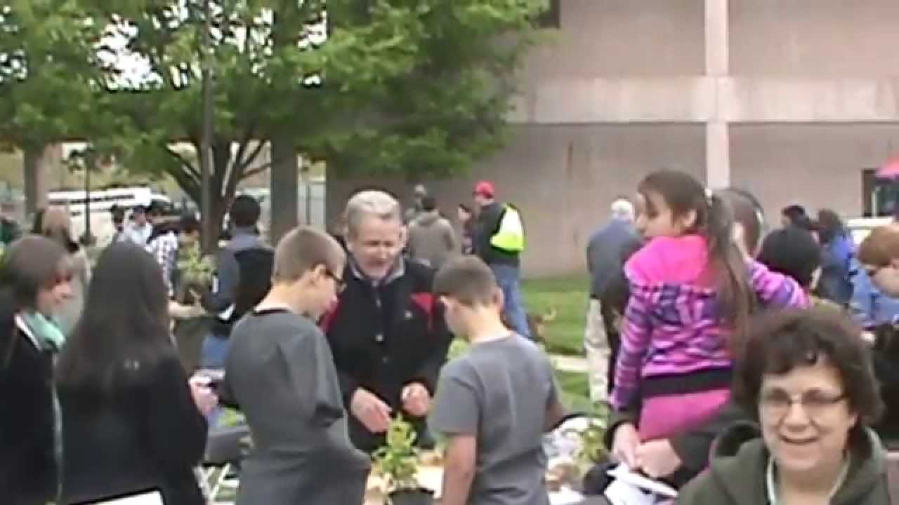 Maryland Day Bess Bug Races