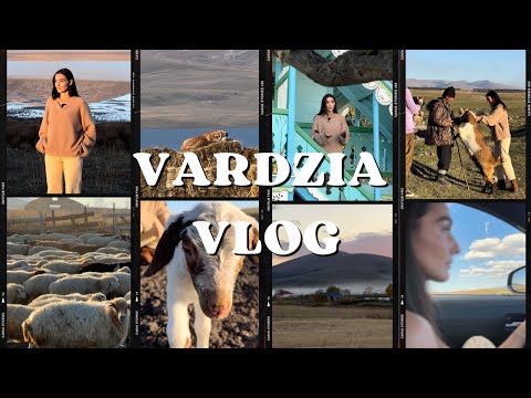 სამცხე-ჯავახეთი და მესხეთი