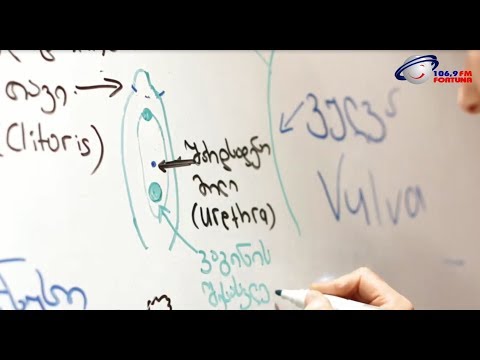 ვიდეოგაკვეთილები სქესობრივ განათლებაზე - რას აპირებს სახელმწიფო