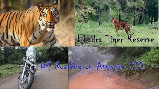 Bhadra Tiger Reserve, Chikmagalur - Off-roading