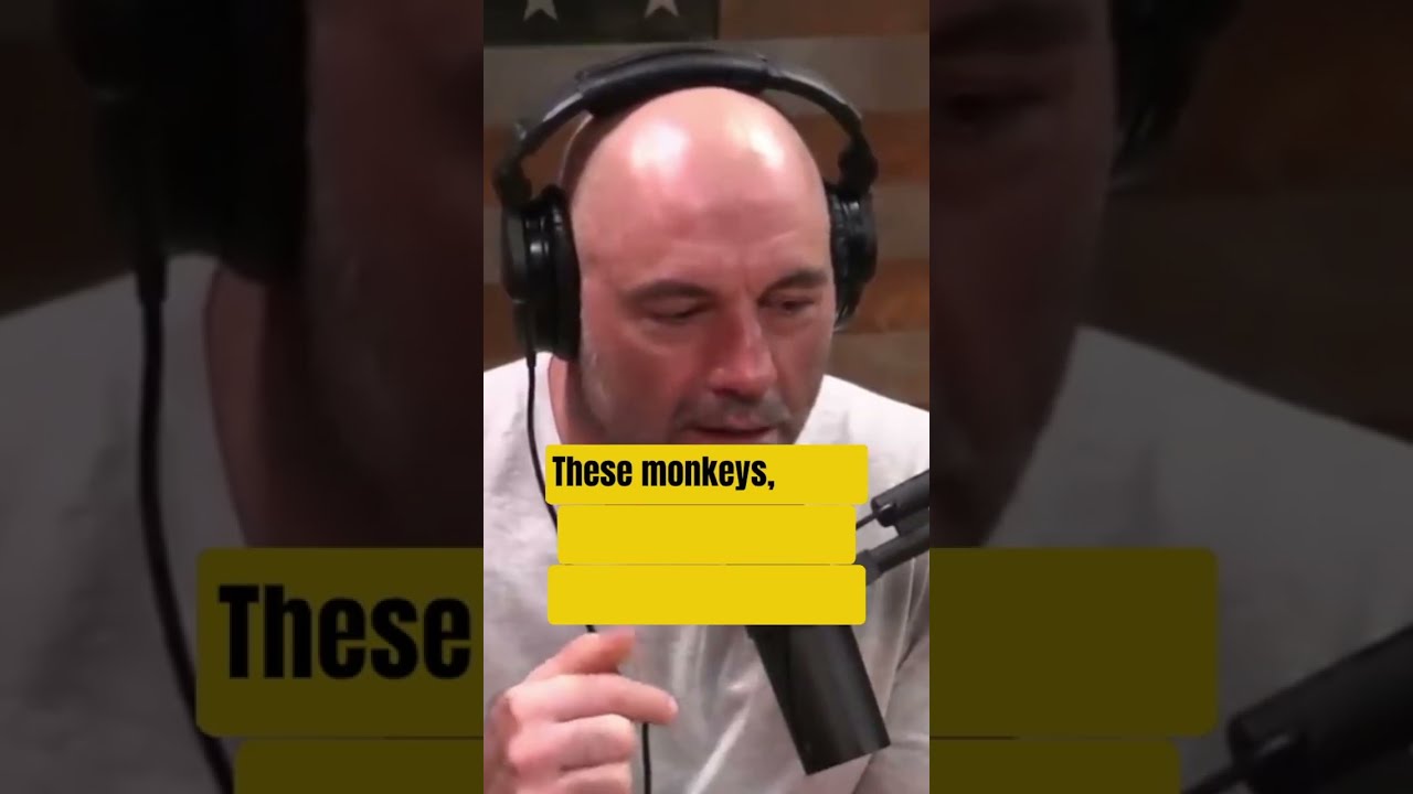 The Stoned Ape Theory #shorts #jre